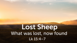 Lost Sheep
